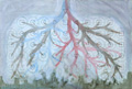 Lungs