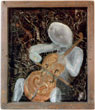 The Cellist