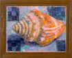 Orange Conch